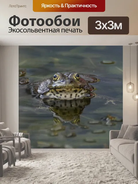 Фотообои Обыкновенная лягушка пруд зеркальное ото