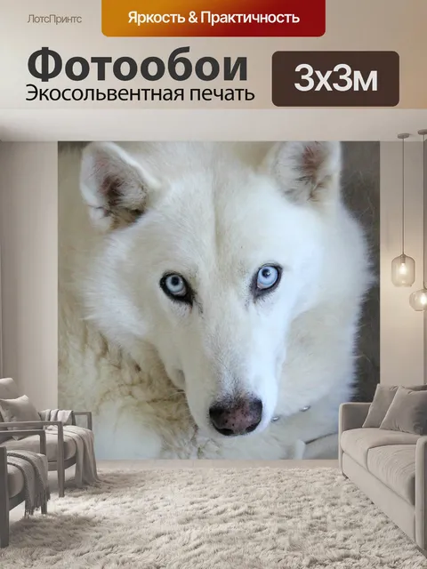 Фотообои Хаски микс