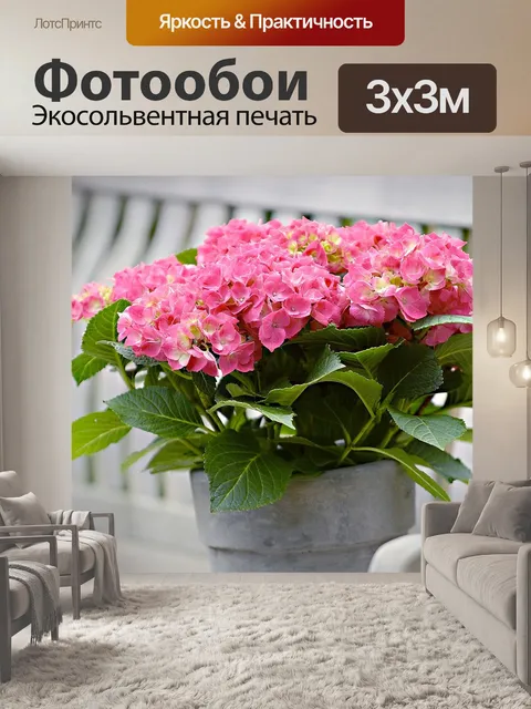 Фотообои Гортензия
