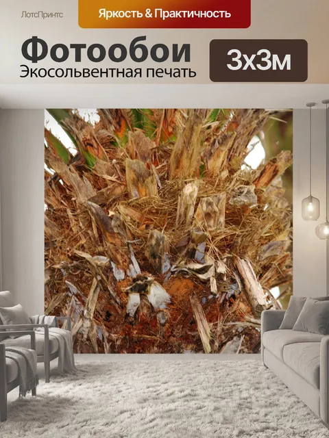 Фотообои старые стволы деревьев