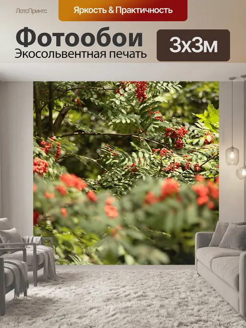 Фотообои Гроздья рябины