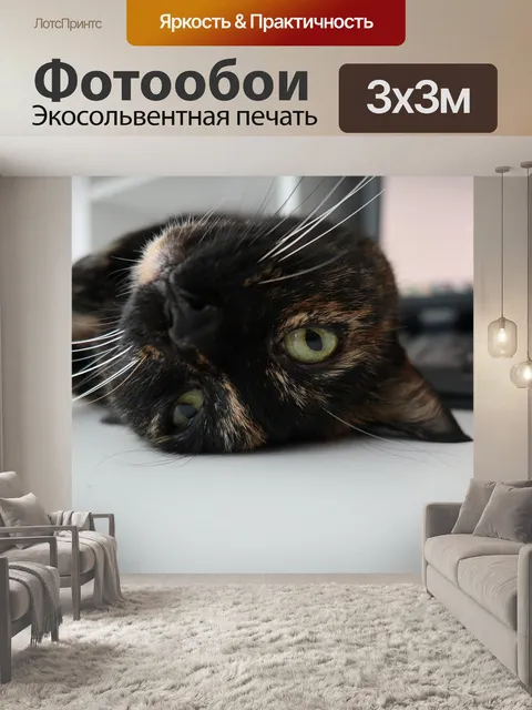 Фотообои Кошка