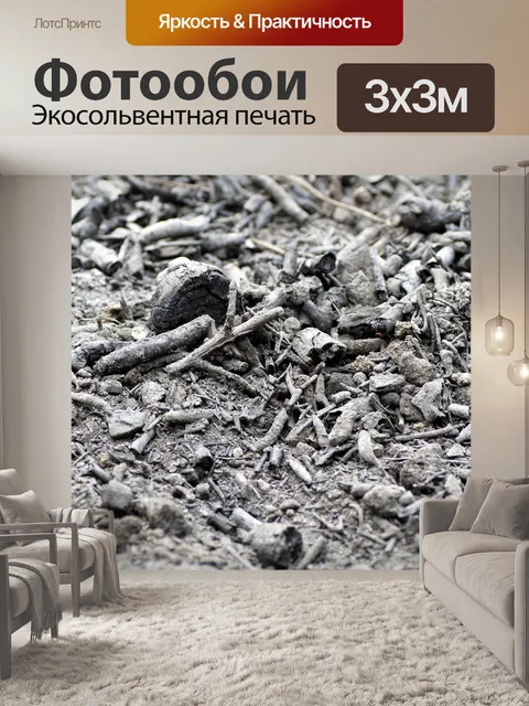 Фотообои Пепел