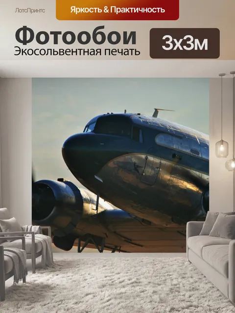Фотообои авиашоу, DC-3 Исторический полет