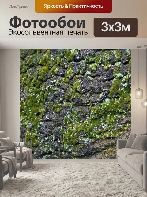 Фотообои рост зеленого мха на серой коре