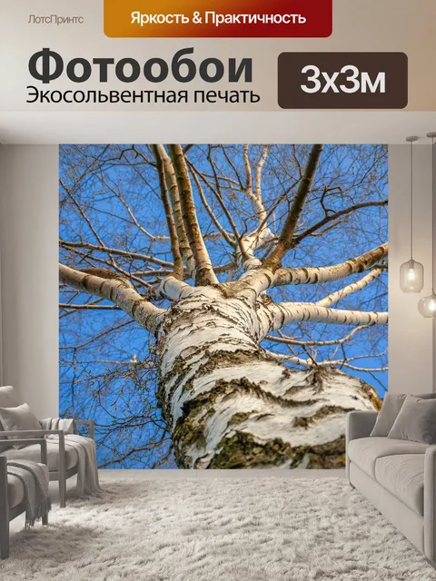 Фотообои Береза