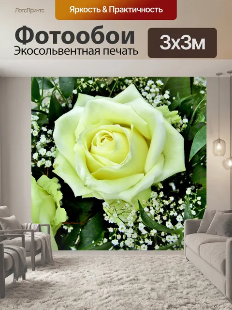 Фотообои Роза