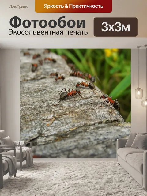 Фотообои Природа