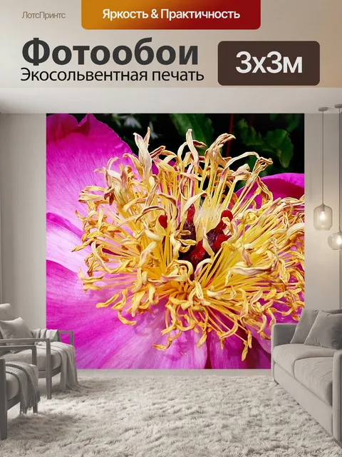 Фотообои Пион