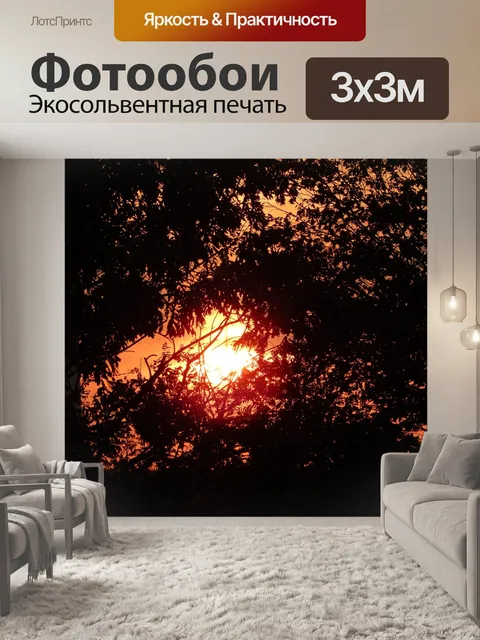 Фотообои Солнце