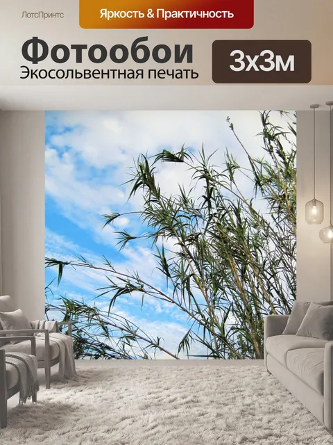 Фотообои полосатый небо камышом