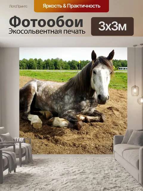 Фотообои Отдых Верховая