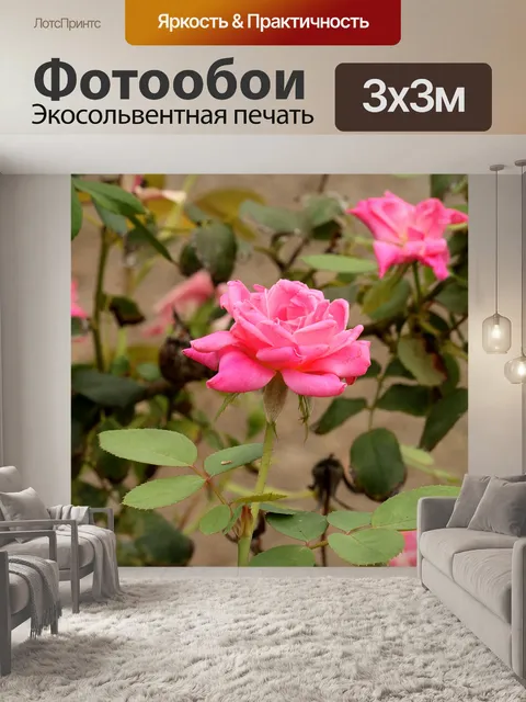 Фотообои Розовая роза в цветочном саду