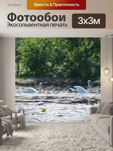 Фотообои Лебединая семья Выездные