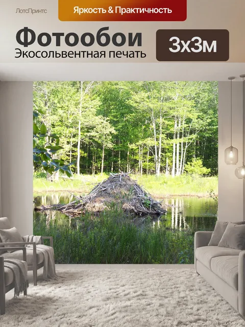 Фотообои Beaver Lodge