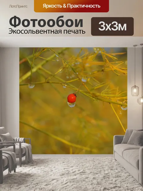 Фотообои Осенний цвет
