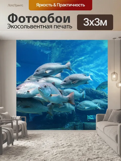 Фотообои школа рифовых рыб в аквариуме