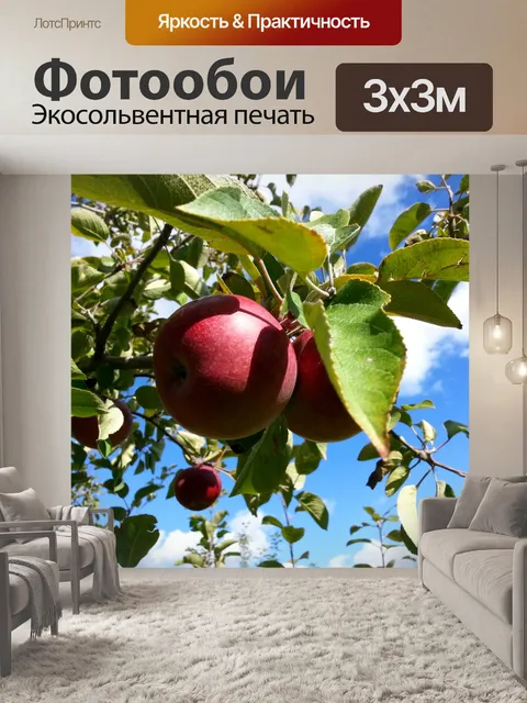 Фотообои Яблоки