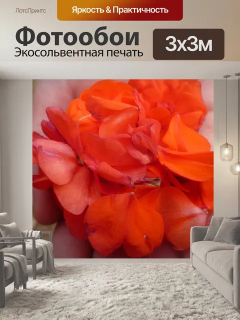 Фотообои Горсть лепестков