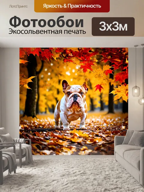 Фотообои маленький бульдог играет в яркой осенней листве