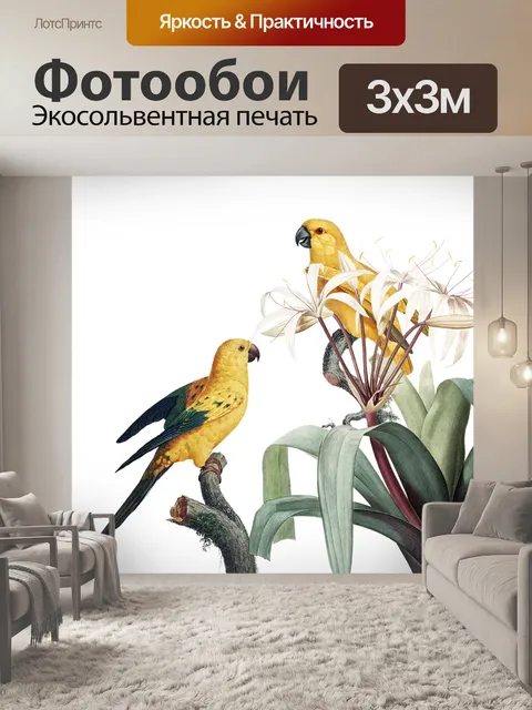 Фотообои Птица