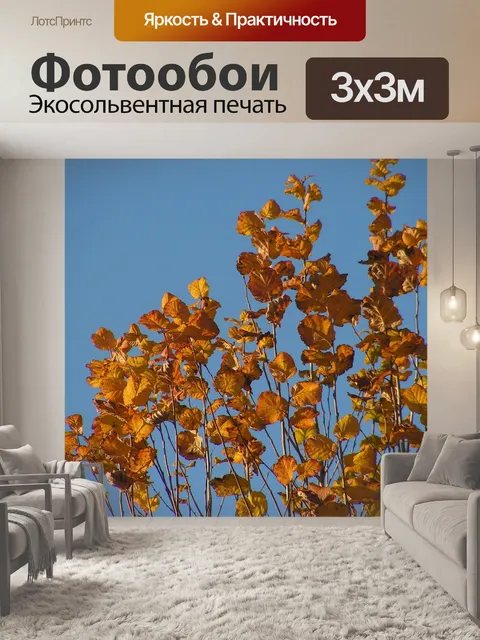 Фотообои Листья