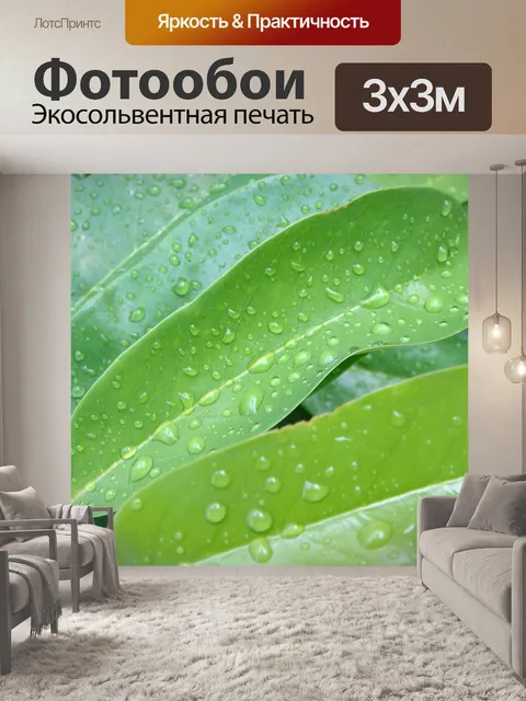 Фотообои Листья