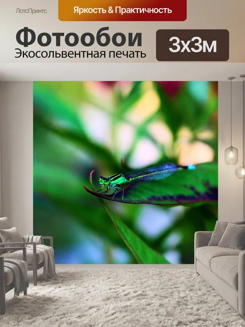 Фотообои Зеленый Черный Стрекоза на листе