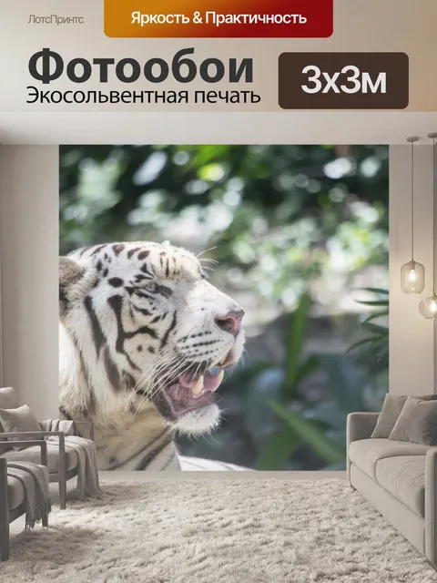 Фотообои белый тигр