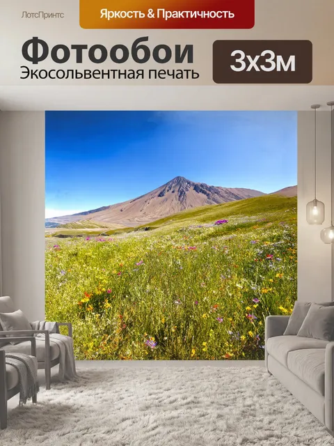 Фотообои описание: ветер нежно треплет траву на склонах арарата, где буйно цветут яркие дикие цветы