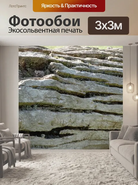 Фотообои Ствол дерева