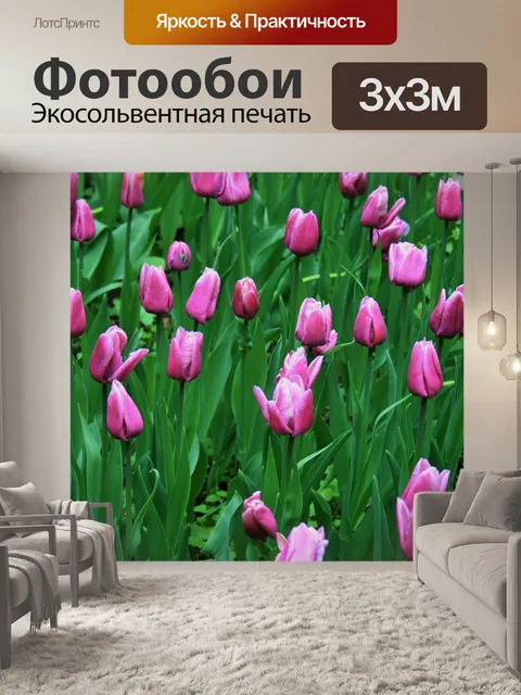 Фотообои тюльпаны, ботанические сады, москва
