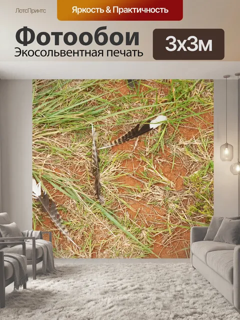 Фотообои черно-белые перья птицы
