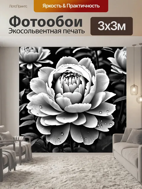 Фотообои пионы в черно-белом стиле с детализированными каплями росы, придающими дополнительную глубину и реализм