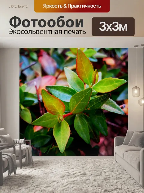 Фотообои Листья ярко-зеленым цветом