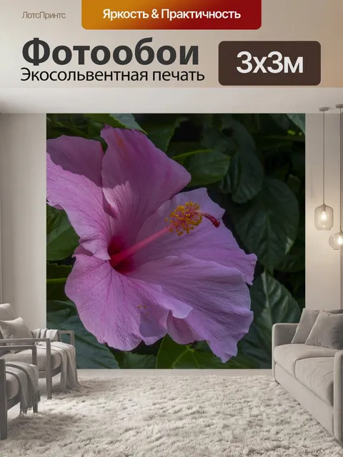 Фотообои Розовый цветок гибискуса