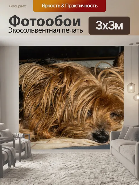 Фотообои Собака