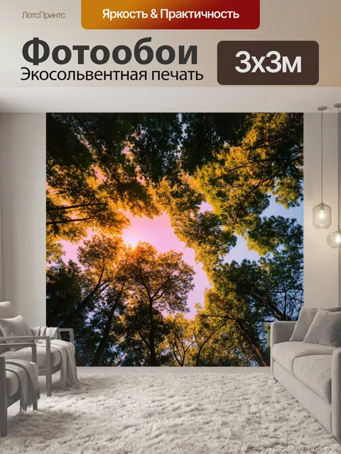Фотообои закат с вершин высоких деревьев