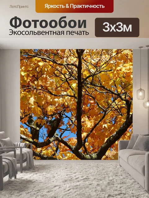Фотообои Ветви