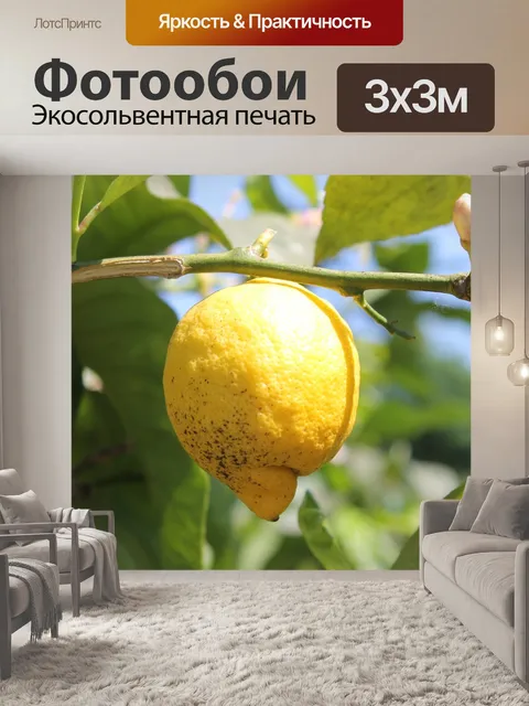 Фотообои Лимон