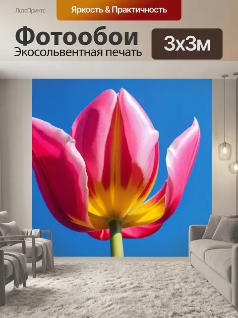Фотообои розовый тюльпан на фоне синего неба
