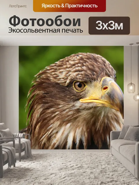 Фотообои Золотой орёл