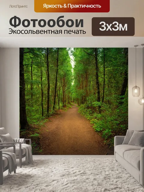 Фотообои лес с узкими тропами, ведущими вглубь леса и манящими своим очарованием
