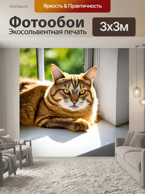 Фотообои уютная кошка на окне в солнечный день