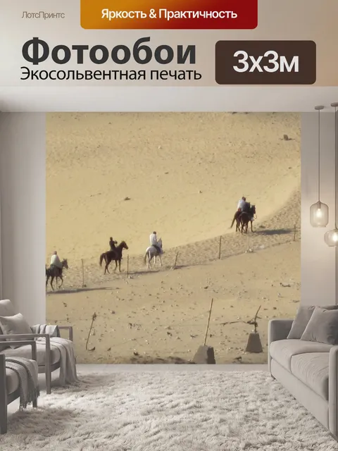 Фотообои Лошади в Гизе пустыне