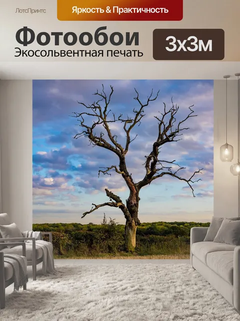 Фотообои Дерево