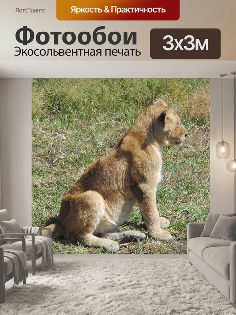 Фотообои Львенок