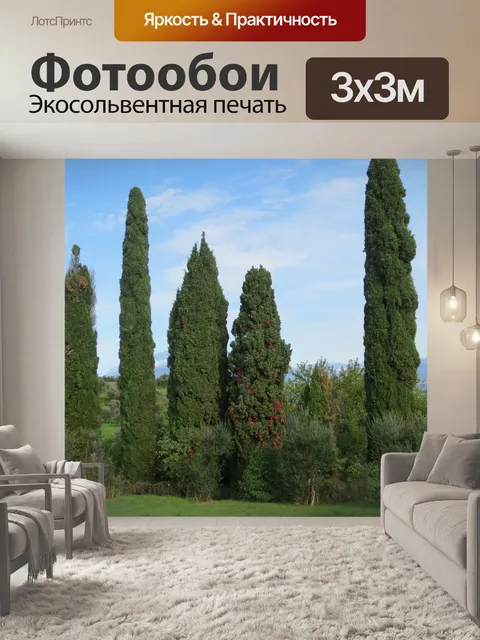 Фотообои Тим