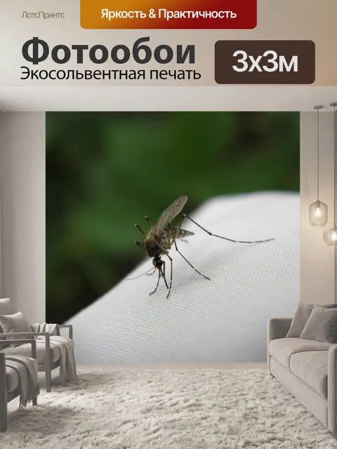 Фотообои Комар