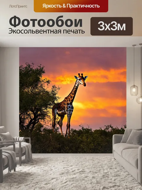 Фотообои жираф, величественно простирающий свою шею к верхушкам акаций, выделяется на фоне яркого закатного неба…